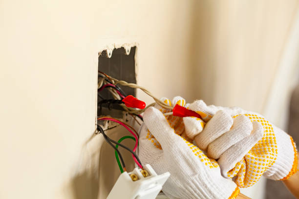 Professional Electrical Services in Winter Garden, FL